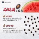 수박씨