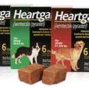 천안터미널 동물약국 이미지