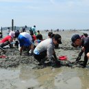 고창바지락칼국수 이미지