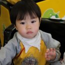 햇병아리어린이집 이미지