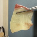 울림축산 | [울산맛집] 울산 남구 울림수산 - 식감부터 살아있는 제철 대방어회 후기 (내돈내산)