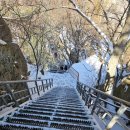 복수할매한우 | 완주 대둔산 체력 거지의 정상 찍기, 복수할매한우, 성심당부띠끄