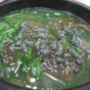 시골다슬기 이미지