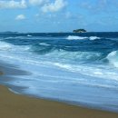 바다정원 이미지