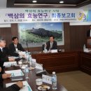 금산인삼홍삼