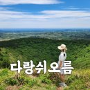 6월 제주도 다랑쉬오름 등반 후기 소요시간·난이도·주차·방문꿀팁 총정리