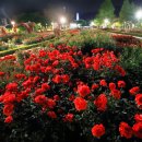 큐피드 푸드트럭 이미지