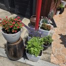 4.19김밥마을 이미지