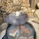 양산기장축협 하나로마트 이미지