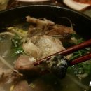 마라도복어 이미지