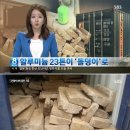 그라제 이미지