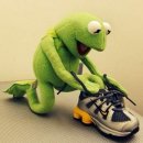 채널24시 이미지