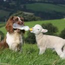 삶의 이야기가 있는 집 이미지