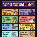 현대판 명심보강 이미지