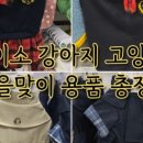 다이소백양점