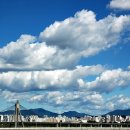 푸른하늘 이미지