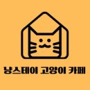 냥스테이 이미지