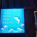 시마참치