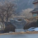 출렁다리 이팝나무길 | 영동 여행 필수 코스! 월영산 출렁다리 2코스 가족·커플 여행 추천