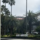 삼양1동 (삼양해수욕장입구방면) | [2박 3일 제주여행] 1일차 코스