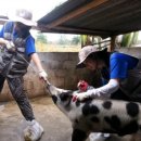 건국가축병원 이미지