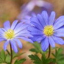 대둔산 호텔 이미지