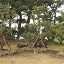 하도초등학교 이미지