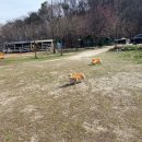 여주목장 이미지