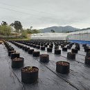 기특이네 농장 이미지