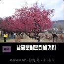 사뿐사뿐 | 대구 홍매화 명소 가볼만한 곳 남평문씨 본리 세거지 인흥마을