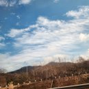몽이네펫택시 네이버블로그