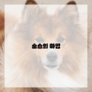 아이 레시피 이미지