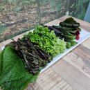 유명동물병원(출장전문) 이미지