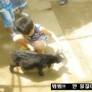 성준 농장 이미지