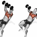 앰비션PT센터 이미지