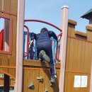 고령대가야CU | [경산하양/청호태권도] 고령 딸기체험, 대가야테마파크 후기