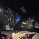 펫구름 | 구름이의 펫택시 이용후기