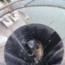 숲속낚시터 이미지