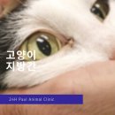 비타민 동물병원 이미지