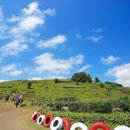 뷰 제주하늘 이미지