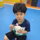 용인대 힘찬나래 이미지