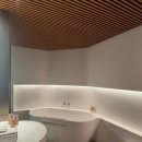 아난티 앳 강남 | [숙소_HOTEL] 아난티 앳 강남 (ANANTI AT GANGNAM)후기