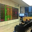 신대양팜 이미지