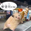 롯데리아 평택중앙 | 평택역 붕어빵 맛집 오늘도 붕어빵 겨울필수 간식 내돈내산 후기