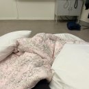 펜션600 | [경주_ 펜션600] 경주 족구장, 탁구장, 노래방, 수영장이 있는 펜션600 솔직한 방문 후기