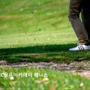 가야CC골프아카데미 제니스 네이버블로그
