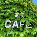 들꽃나라농장 이미지