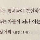 두란노빈