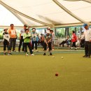 게이트볼 이미지