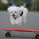 가야노래연습장 이미지